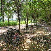 單車旅遊|南生圍