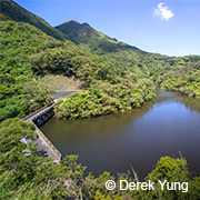 鶴藪水塘家樂徑