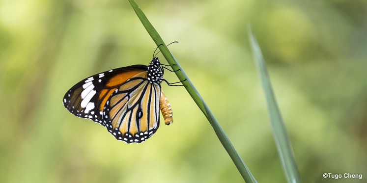 船灣郊野公園:自然與人文雙體驗