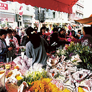 第二站: 園圃街雀鳥花園/花墟/通菜街(金魚街)