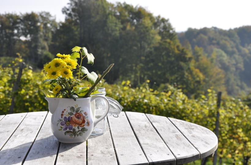 pexels-pixabay-269220