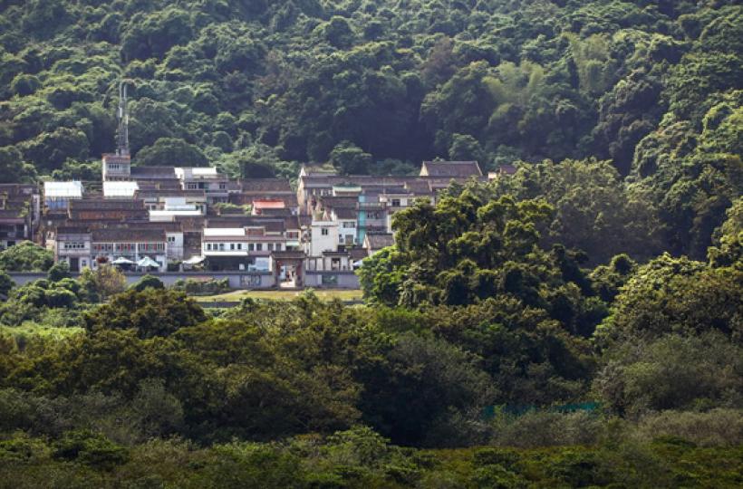 船灣郊野公園：自然與人文雙體驗