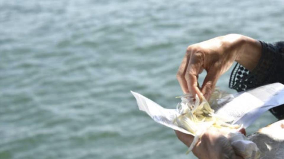 綠色殯葬-海上撒灰服務