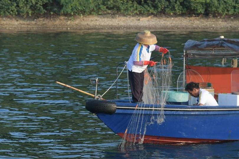 抗疫基金支援各行各業