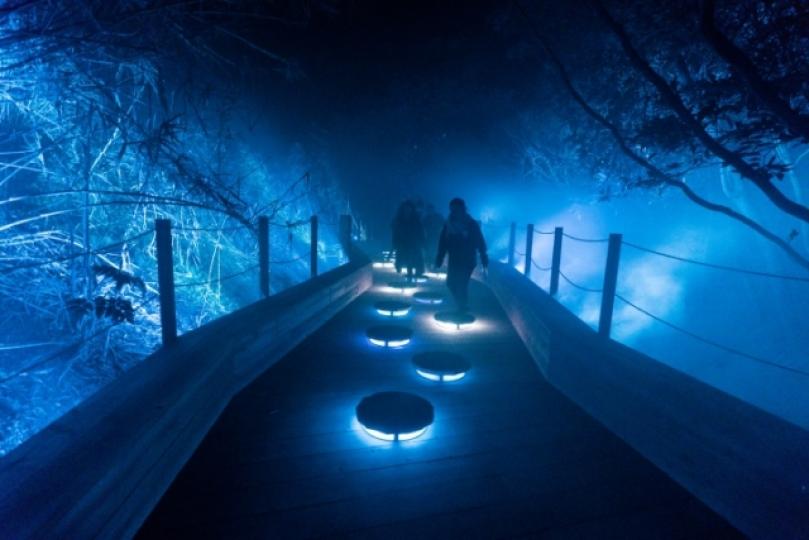 ISLAND LUMINA新開幕 夜行挑戰玩家五官2