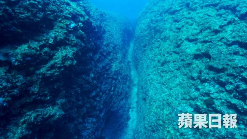 太平洋上遺世小島 水下三十米看懸崖峭壁5